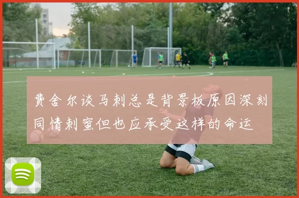 费舍尔谈马刺总是背景板原因深刻同情刺蜜但也应承受这样的命运